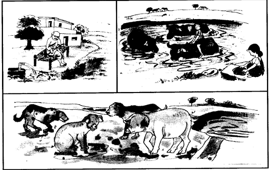 Solved Questions- 2: Narrative Writing