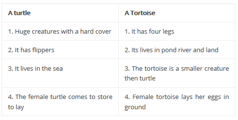 NCERT Solutions for Class 5 English - The Little Bully