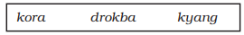 NCERT Solutions for Class 11 English Hornbill - Silk Road