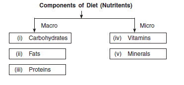 Chapter 3 - Sports and Nutrition, Chapter Notes, Class 12, Physical Education | Physical Education for Grade 12