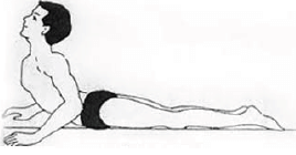 Yoga as Preventive Measure for Lifestyle Disease - 1 Chapter Notes | Physical Education Class 11 (XI) - CBSE and NCERT Curriculum