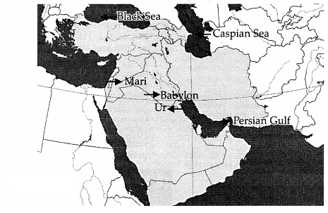 CBSE Class 11 History Sample Paper 2023 - 1 | History Class 11 - Humanities/Arts