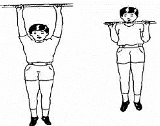 Test And Measurement In Sports - Physical Education Revision Notes, Class 12 | Physical Education for Grade 12