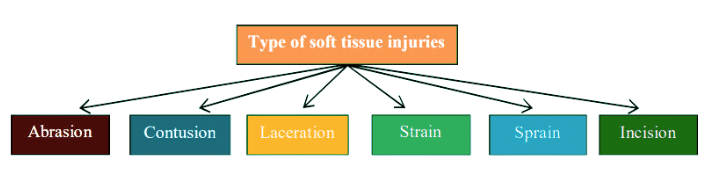 Sport Injuries | Physical Education Class 12(XII) - Notes & Model Test Papers - Humanities/Arts