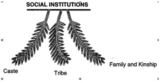Social Institutions: Continuity and Change Revision Notes | Sociology Class 12 - Humanities/Arts
