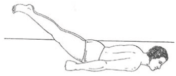 Yoga as Preventive Measure for Lifestyle Disease - 1 Chapter Notes | Physical Education Class 11 (XI) - CBSE and NCERT Curriculum
