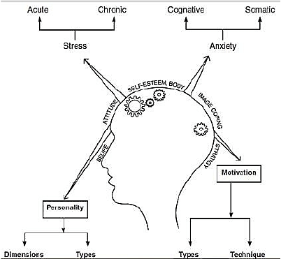Psychology And Sports - Physical Education Revision Notes, Class 12 | Physical Education for Grade 12
