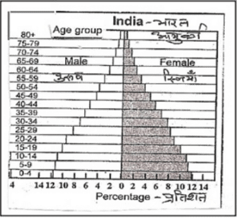 Population Composition Important Question & Answer | Geography for Grade 12