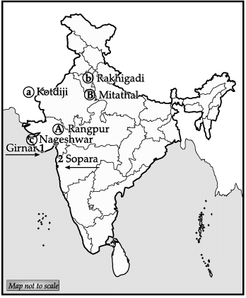History: CBSE Sample Question Paper (2020-21) - 3 | History Class 12 - Humanities/Arts