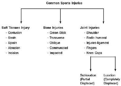 Sports Medicine - Physical Education Revision Notes, Class 12 | Physical Education Class 12(XII) - Notes & Model Test Papers - Humanities/Arts