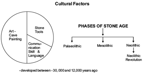 From the Beginning of Time (Old Syllabus) Revision Notes | History Class 11 - Humanities/Arts