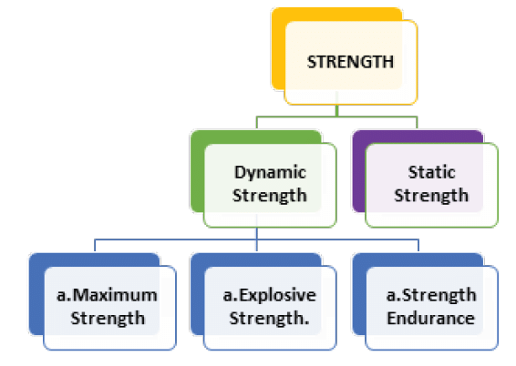 Training in Sports Chapter Notes | Physical Education Class 12(XII) - Notes & Model Test Papers - Humanities/Arts