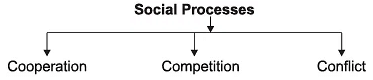 Social Structure, Stratification and Social Processes Class 11 Sociology