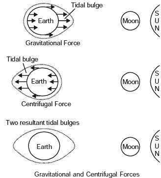 Long Question Answers: Movements of Ocean Water | Geography Class 11 - Humanities/Arts