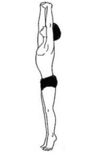 Yoga as Preventive Measure for Lifestyle Disease - 1 Chapter Notes | Physical Education Class 11 (XI) - CBSE and NCERT Curriculum