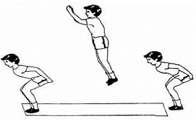 Test And Measurement In Sports - Physical Education Revision Notes, Class 12 | Physical Education for Grade 12