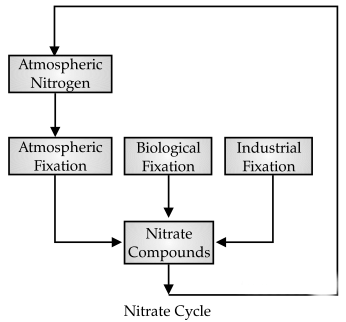 CBSE Sample Question Paper (2022-23) - 6 | Geography Class 11 - Humanities/Arts