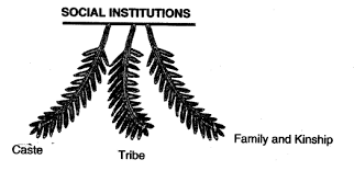 Introducing Indian Society Chapter Notes | Sociology Class 12 - Humanities/Arts