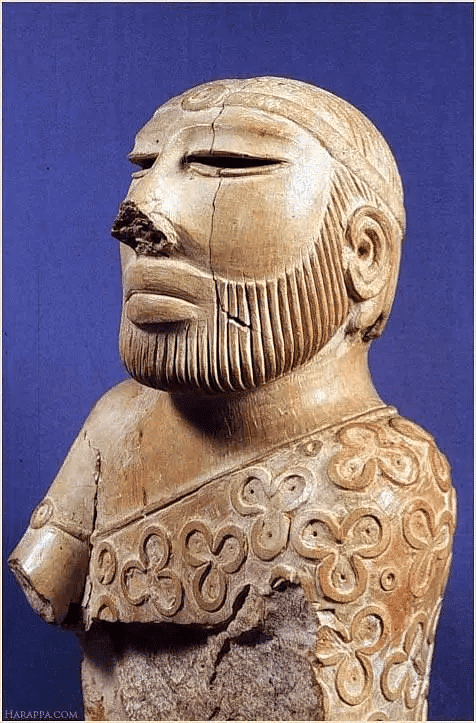 Important Points: Arts of the Indus Valley | Fine Art for Class 11 - Humanities/Arts