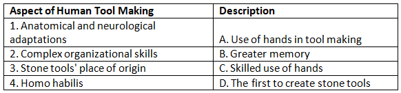 Worksheet: From the Beginning of Time | History Class 11 - Humanities/Arts