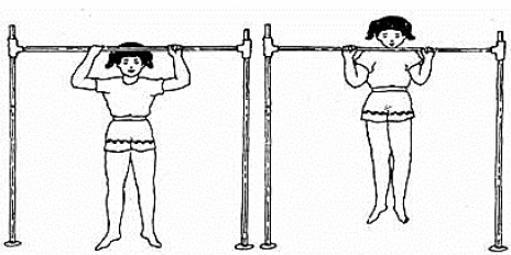 Test And Measurement In Sports - Physical Education Revision Notes, Class 12 | Physical Education for Grade 12