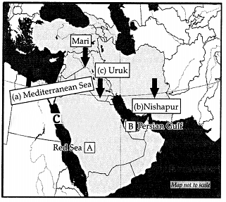 CBSE Class 11 History Sample Paper 2023 - 5 | History Class 11 - Humanities/Arts