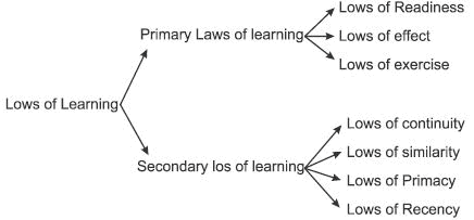 Revision Notes, Psychology and Sports, Physical Education | Physical Education Class 11 (XI) - CBSE and NCERT Curriculum