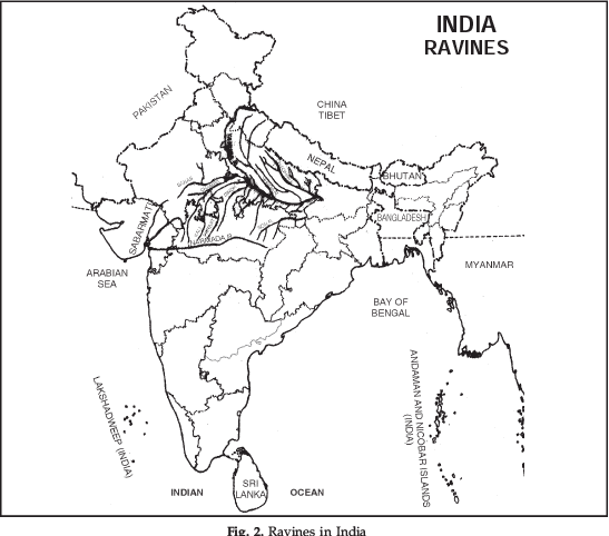Long Question Answers: Soils | Geography for Grade 11