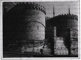 Write a short essay (About 500 words) on the following