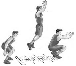 Test And Measurement In Sports - Physical Education Revision Notes, Class 12 | Physical Education for Grade 12