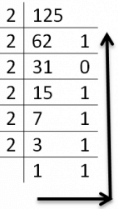 Number System | Computer Science for Grade 11