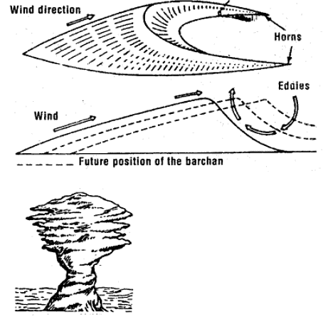 Important Questions: Landforms & their Evolution | Geography Class 11 - Humanities/Arts