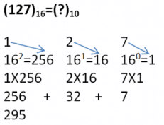 Number System | Computer Science for Grade 11