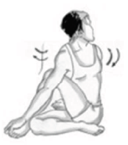 Yoga as Preventive Measure for Lifestyle Disease - 1 Chapter Notes | Physical Education Class 11 (XI) - CBSE and NCERT Curriculum