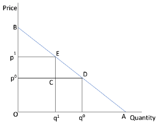 Theory of Consumer Behaviour Class 12 Economics