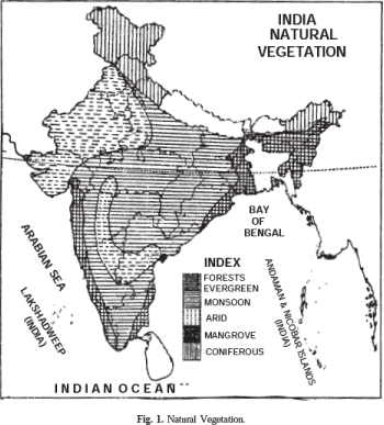 Long Question Answers: Natural Vegetation | Geography Class 11 - Humanities/Arts