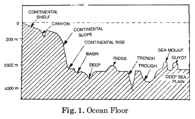 Long Question Answers : Water (Oceans) | Geography Class 11 - Humanities/Arts