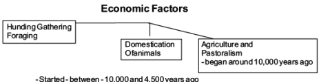 From the Beginning of Time (Old Syllabus) Revision Notes | History Class 11 - Humanities/Arts
