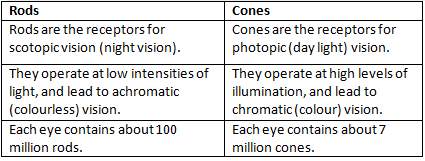 Important Questions & Answers: Sensory, Attentional, & Perceptual Processes | Psychology Class 11 - Humanities/Arts