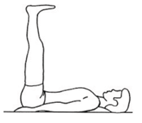Ardha-Halasana (Half Plow Pose)