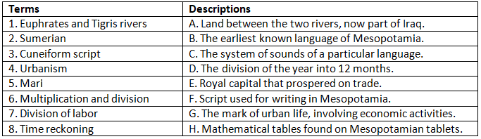 Worksheet: Writing and City Life | History Class 11 - Humanities/Arts