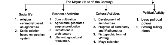 Confrontation of Cultures Revision Notes | History for Grade 11