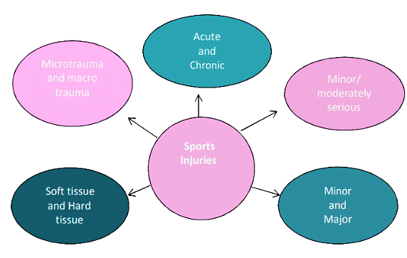 Sport Injuries | Physical Education Class 12(XII) - Notes & Model Test Papers - Humanities/Arts