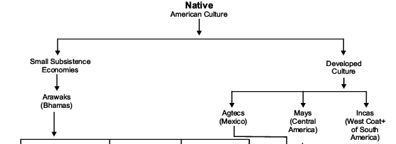 Confrontation of Cultures Revision Notes | History for Grade 11