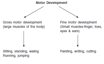 Chapter 5 - Children and Sports, Chapter Notes, Class 12, Physical Education | Physical Education for Grade 12
