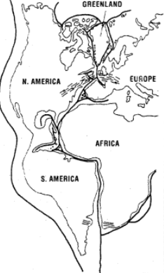 Important Questions: Distribution of Oceans & Continents | Geography Class 11 - Humanities/Arts
