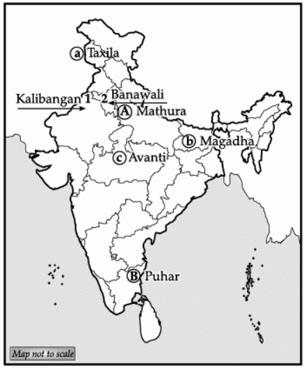 History: CBSE Sample Question Paper (2020-21) - 2 | History Class 12 - Humanities/Arts