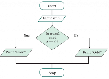 Problem Solving - Computer Science for Grade 11 PDF Download