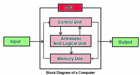 Computer System NCERT Solutions | Computer Science for Class 11 - Humanities/Arts