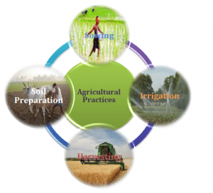 Agriculture & Agricultural Practices - Class 8
